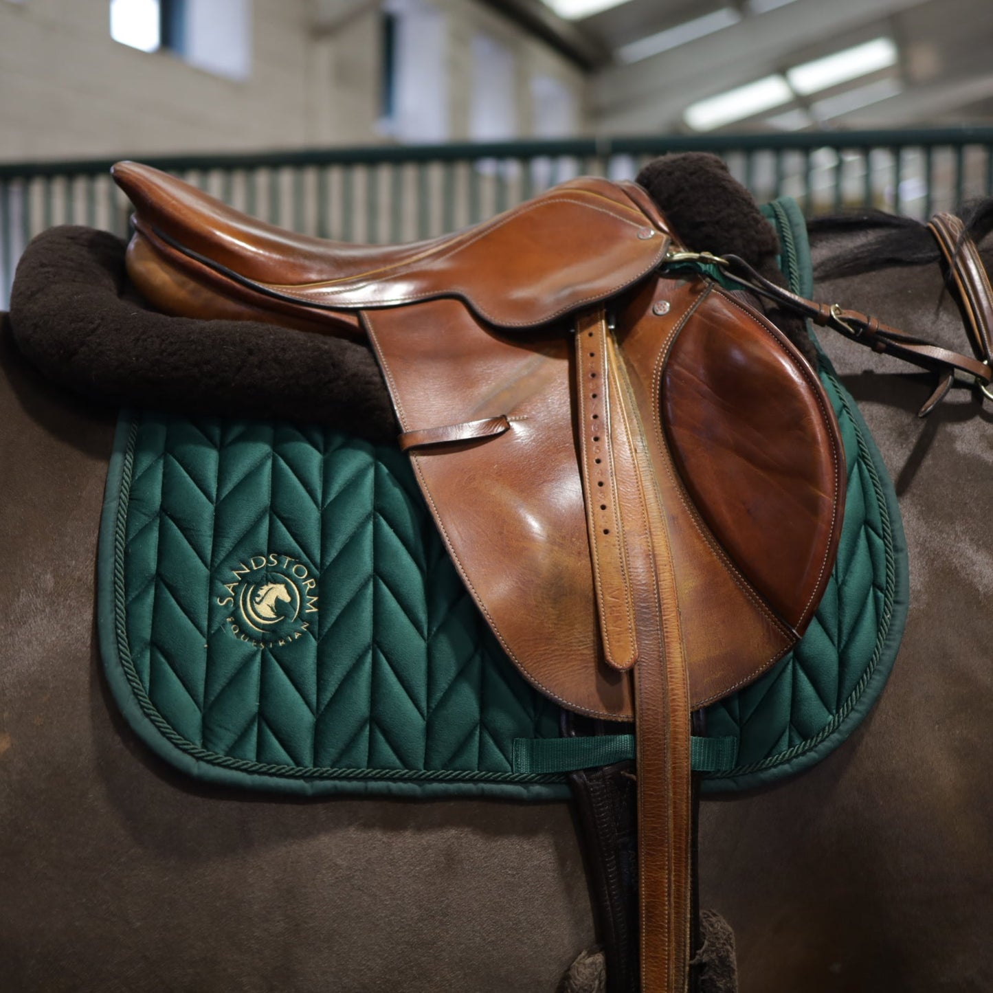 Sandstorm Equestrian - Saddle Pad - Emerald Green