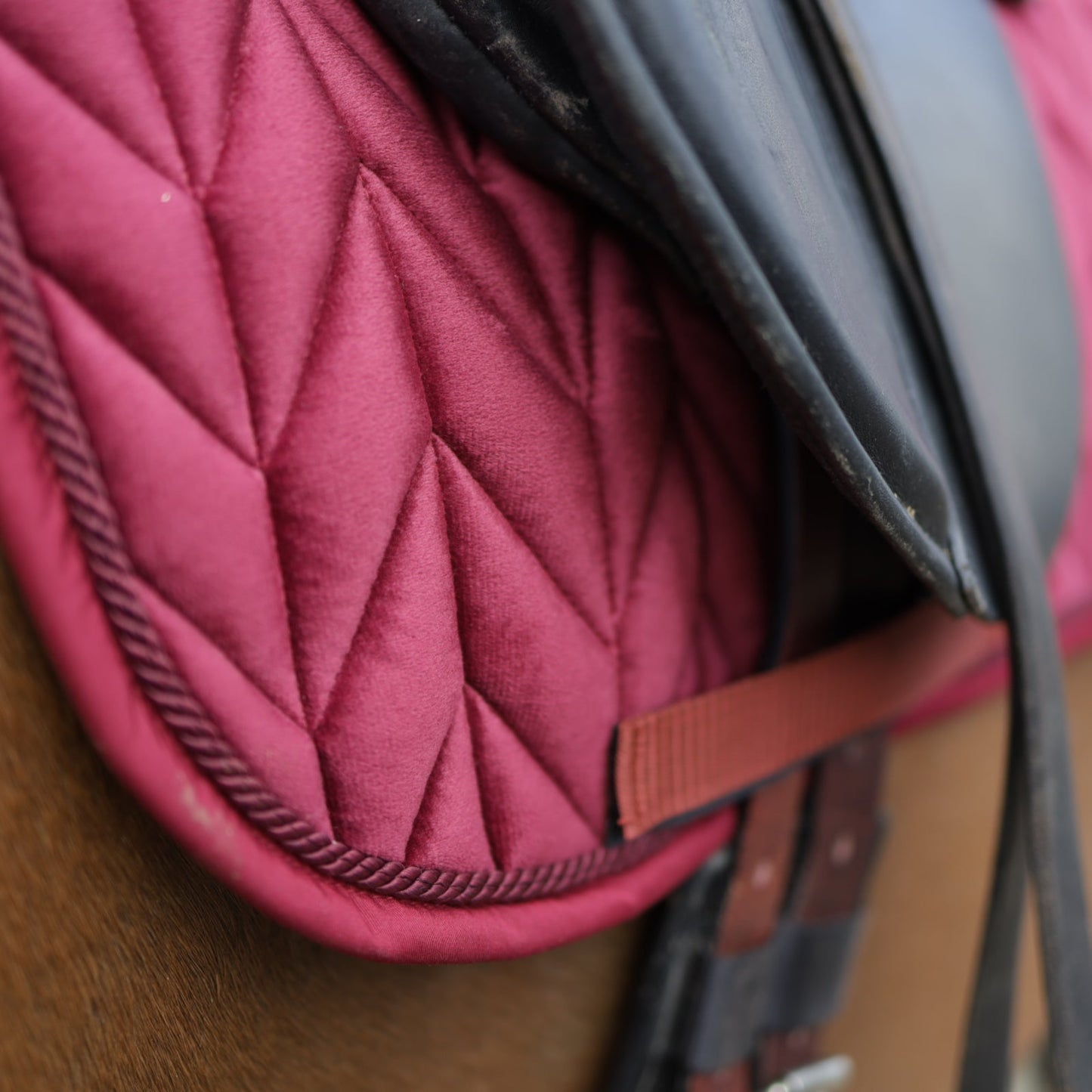Sandstorm Equestrian - Saddle Pad - Ruby