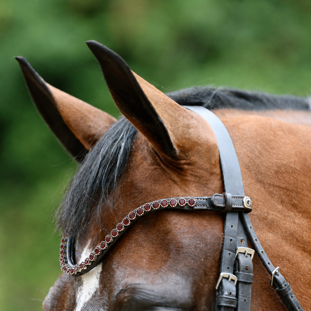 Sandstorm Equestrian -QuickSwitch BrowBand - Burgundy Diamante - Single Row