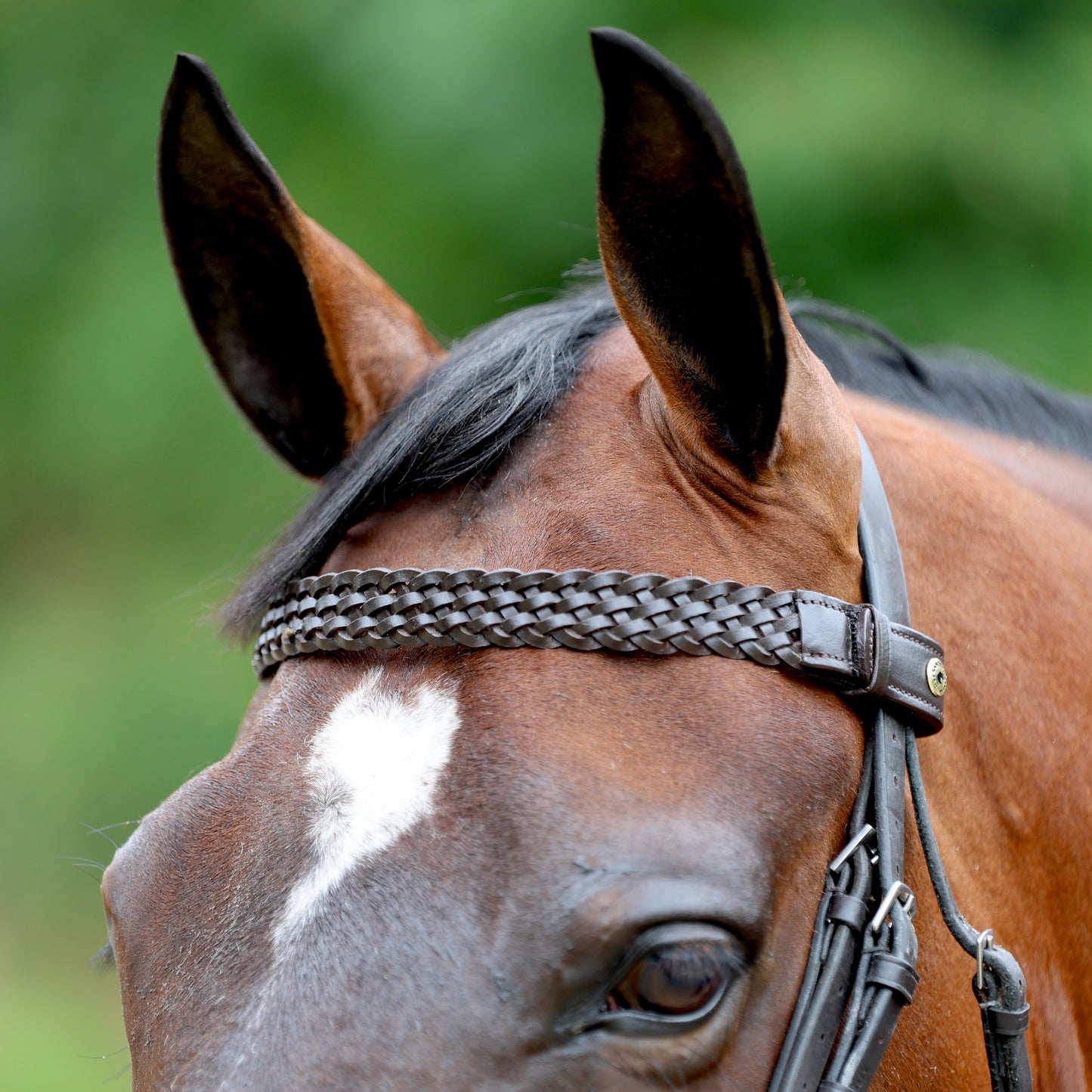 Sandstorm Equestrian - QuickSwitch Bro Band - Braided