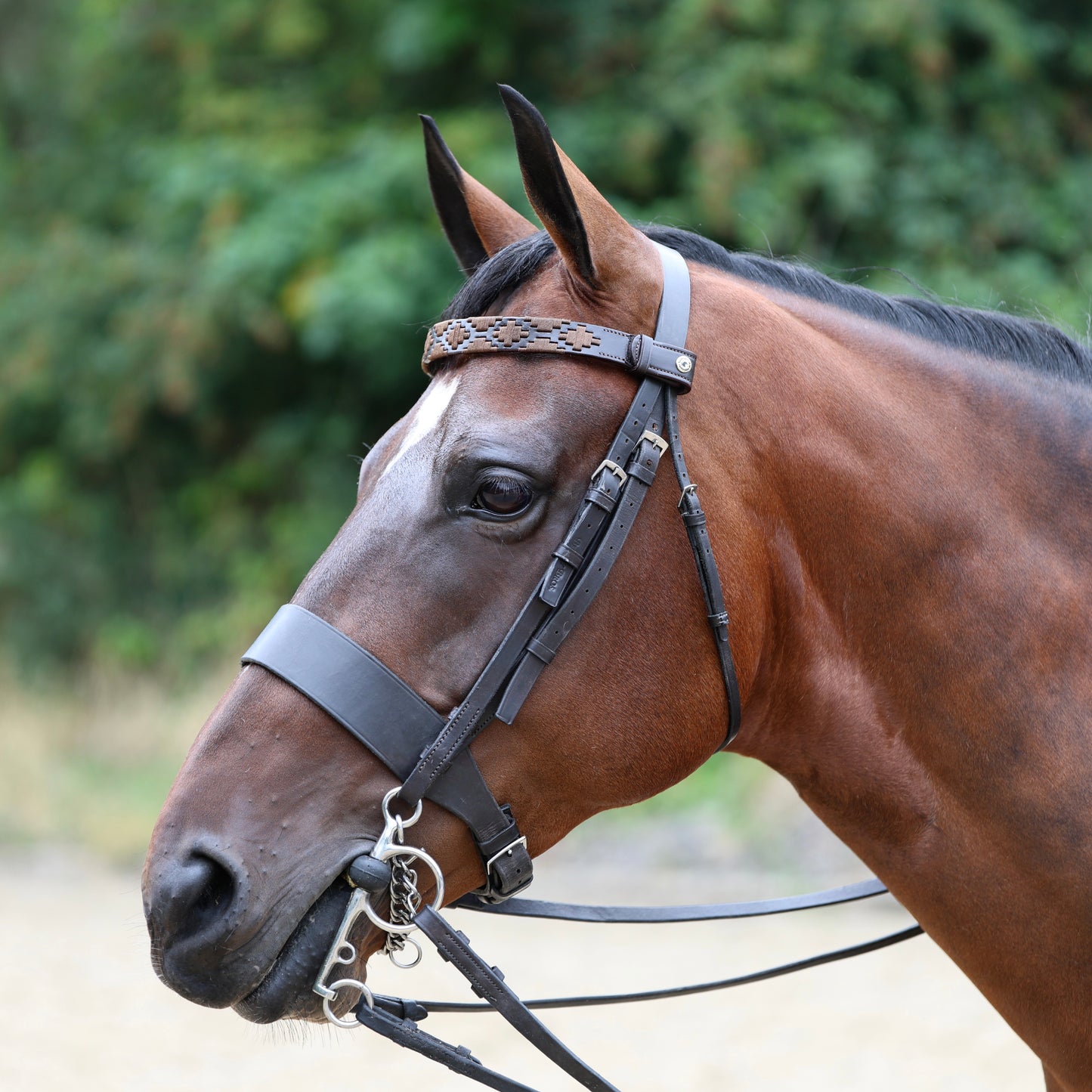 Sandstorm Equestrian - QuickSwitch Brow Band - Polo