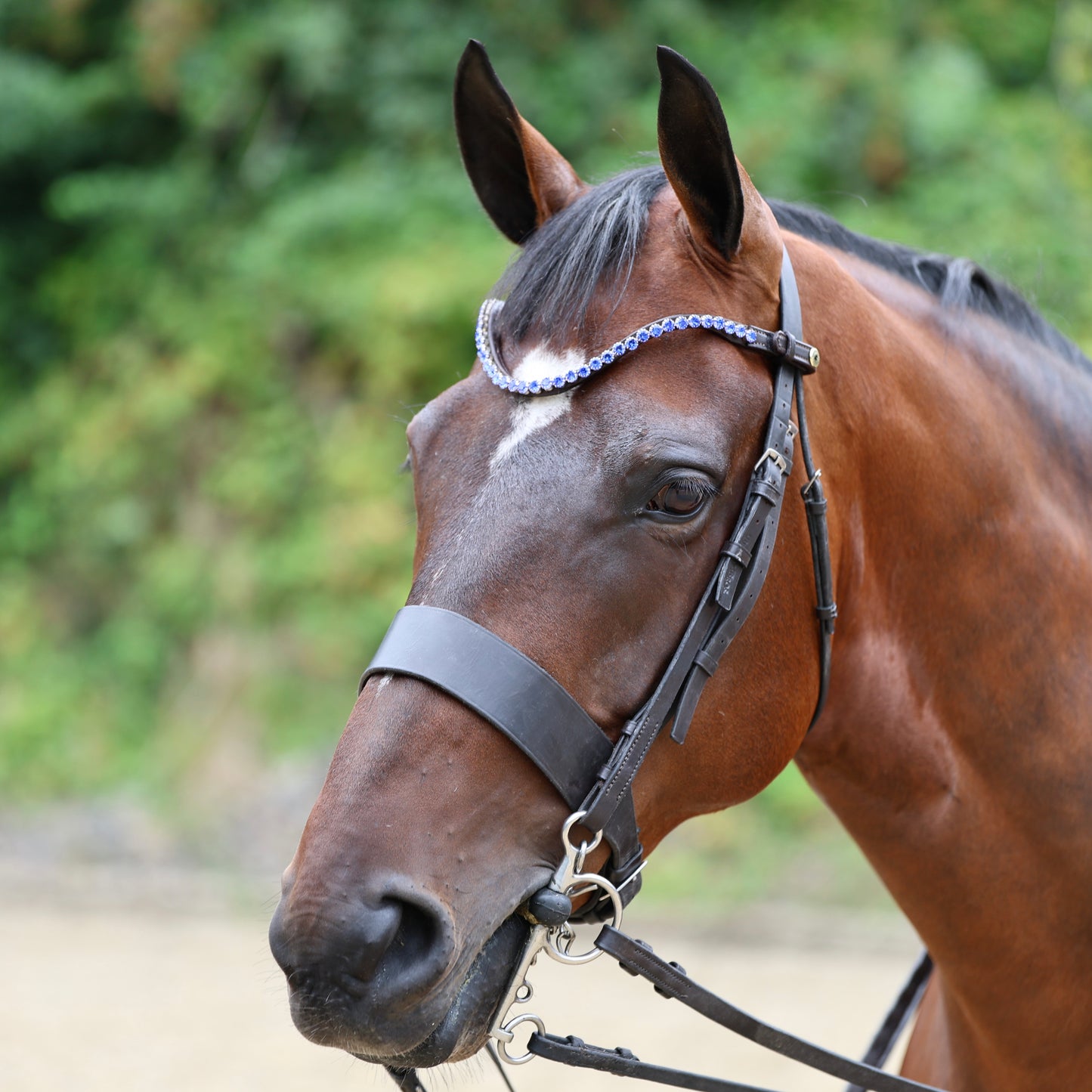 Sandstorm Equestrian -QuickSwitch BrowBand - Vibrant Blue Diamante - Single Row