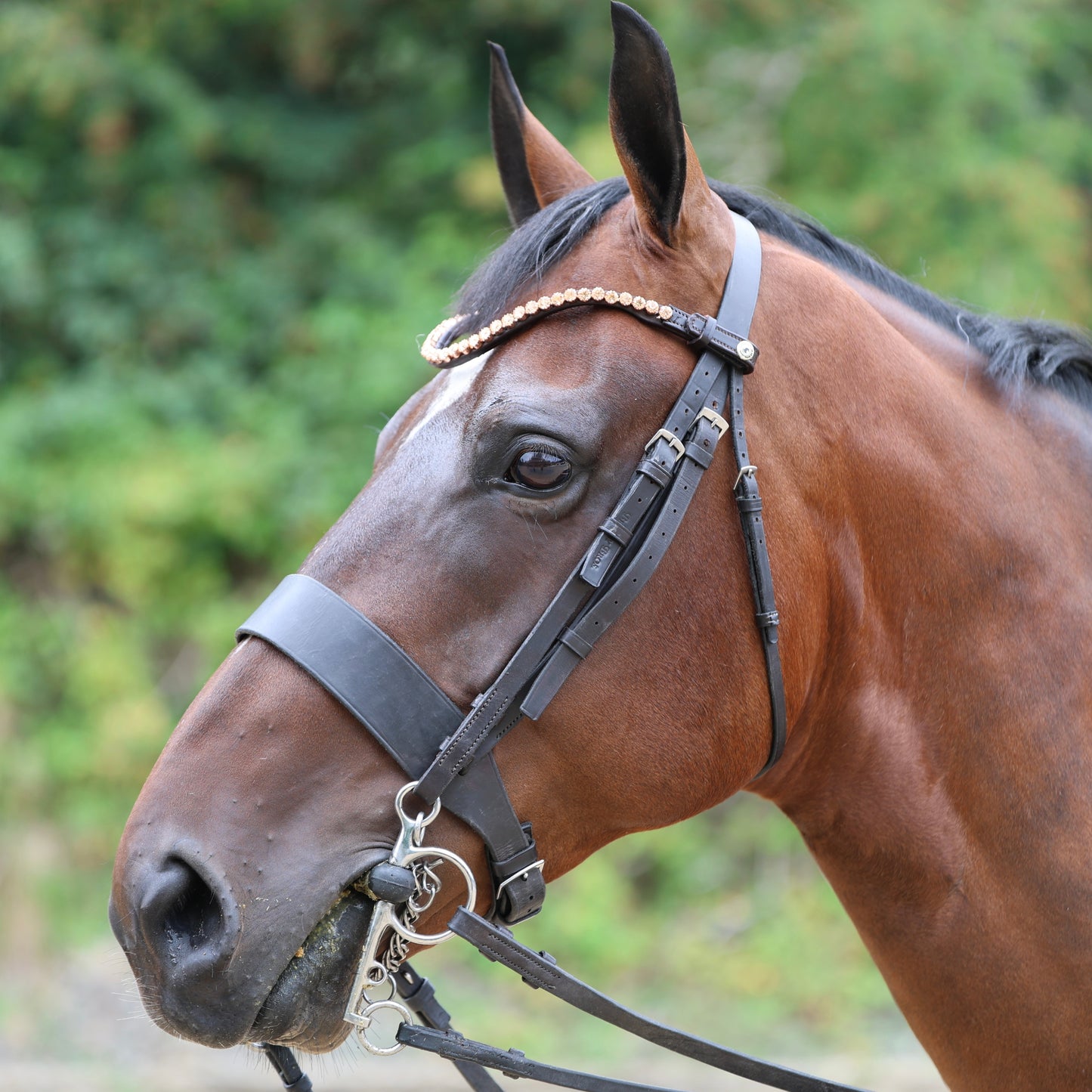 Sandstorm Equestrian -QuickSwitch BrowBand - Rose Gold Diamante - Single Row