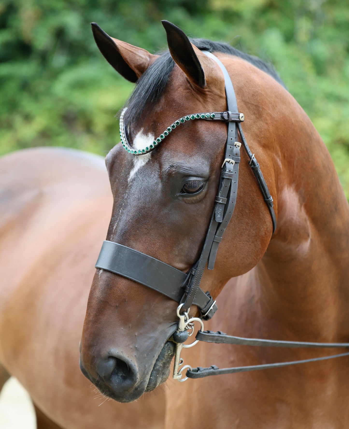 Sandstorm Equestrian - QuickSwitch BrowBand - Emerald Green Diamante -Single Row