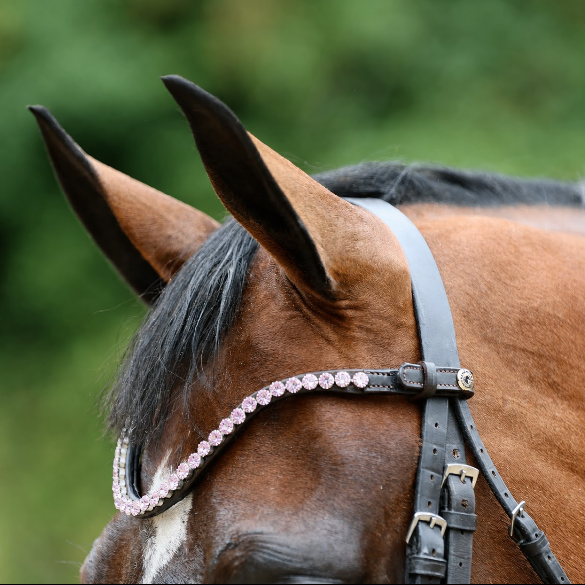 Sandstorm Equestrian - QuickSwitch BrowBand - Lilac Diamante - Single row