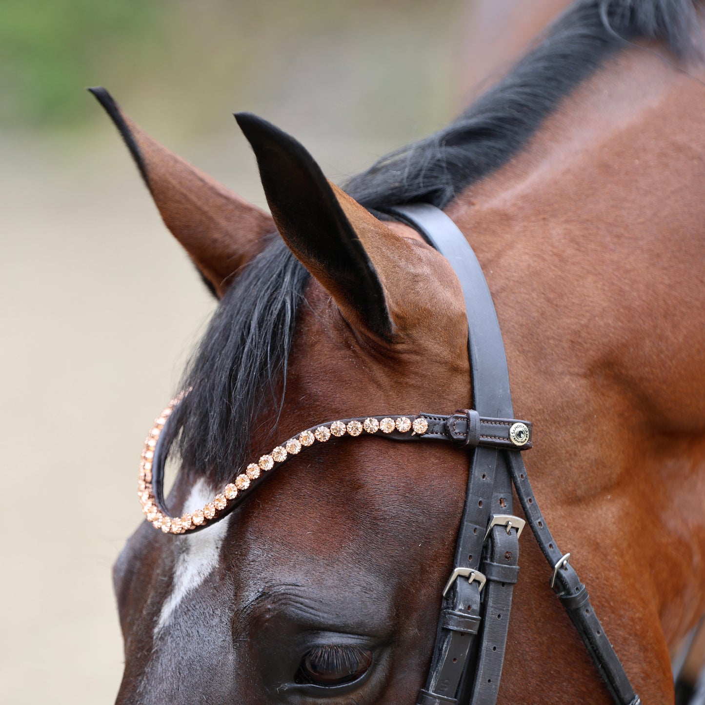 Sandstorm Equestrian -QuickSwitch BrowBand - Rose Gold Diamante - Single Row