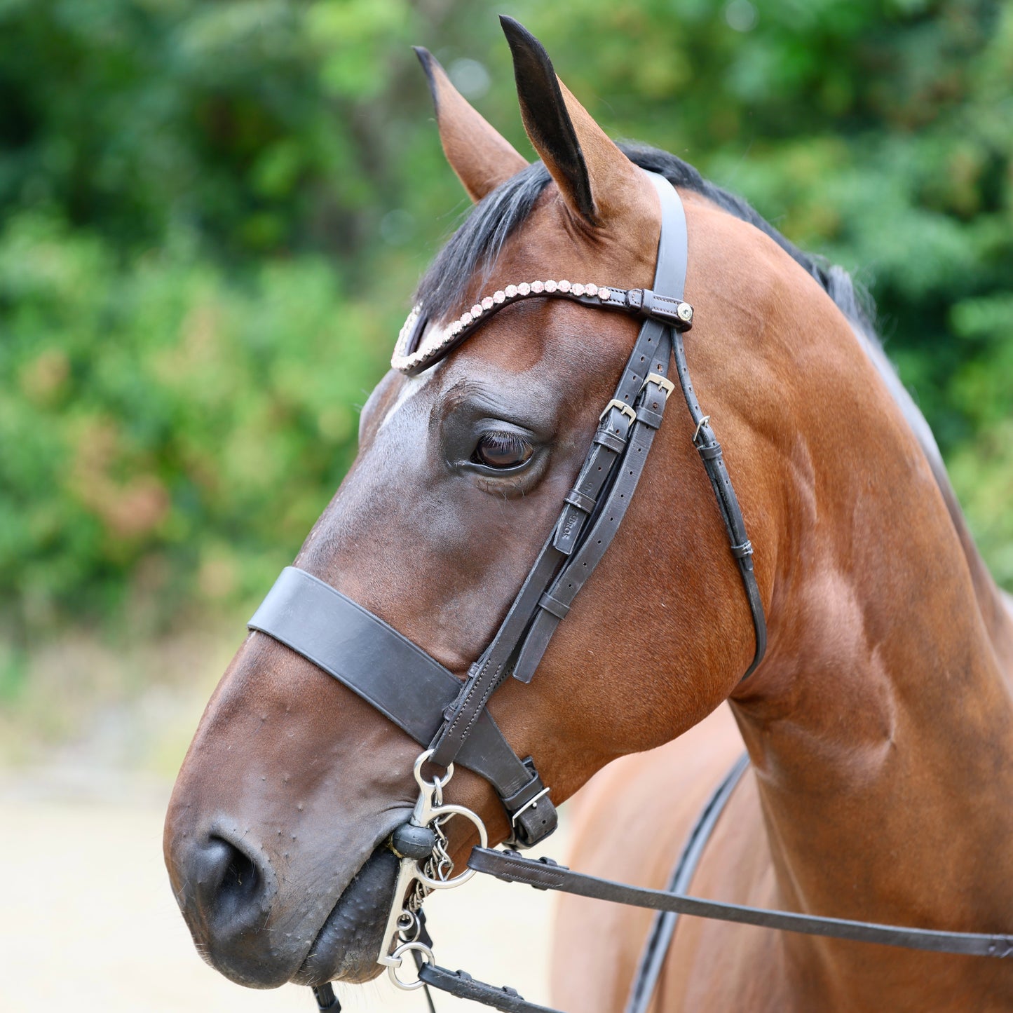 Sandstorm Equestrian - QuickSwitch Brow Band - Pink Diamante - Single Row