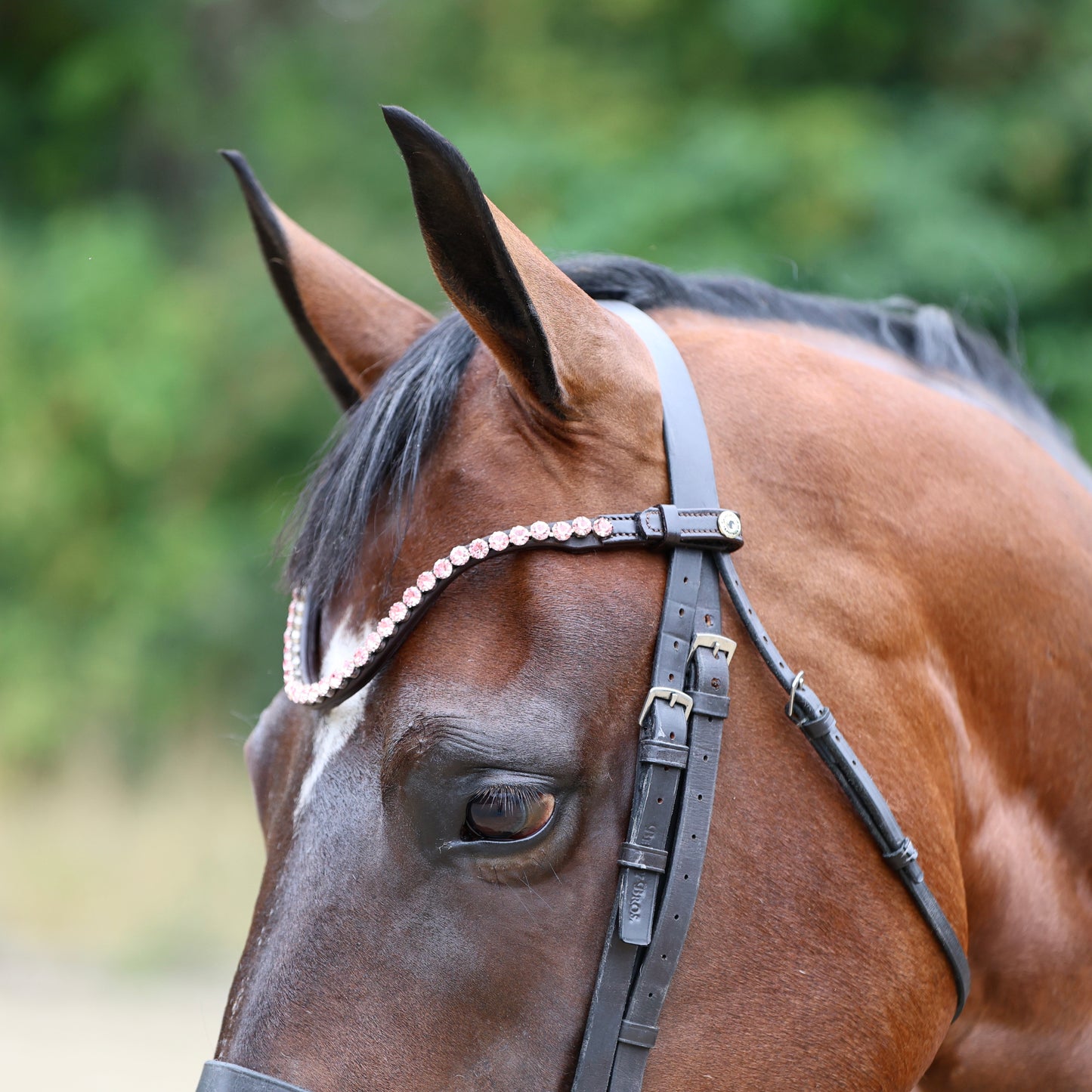 Sandstorm Equestrian - QuickSwitch Brow Band - Pink Diamante - Single Row