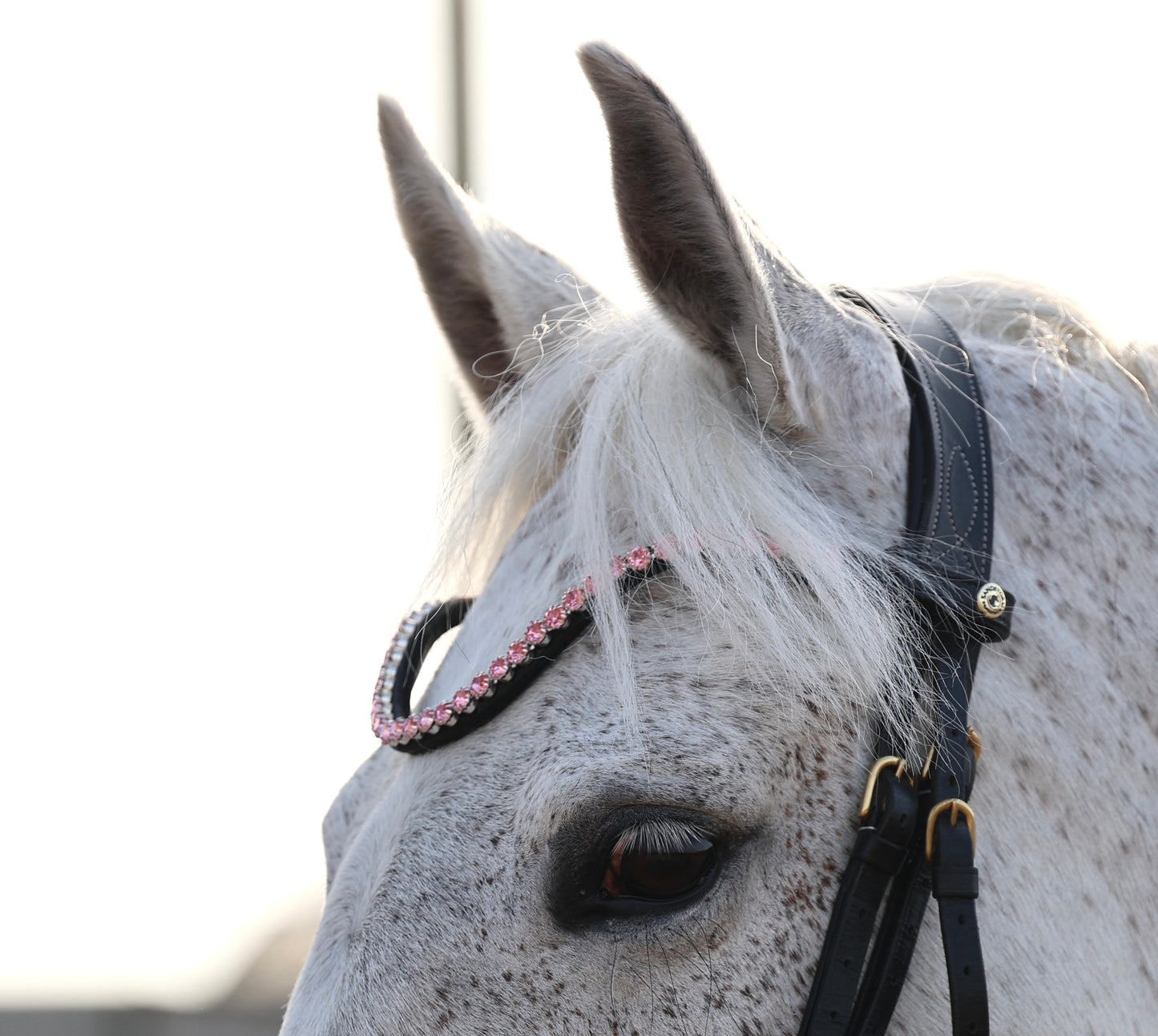 Sandstorm Equestrian - QuickSwitch Brow Band - Pink Diamante - Single Row