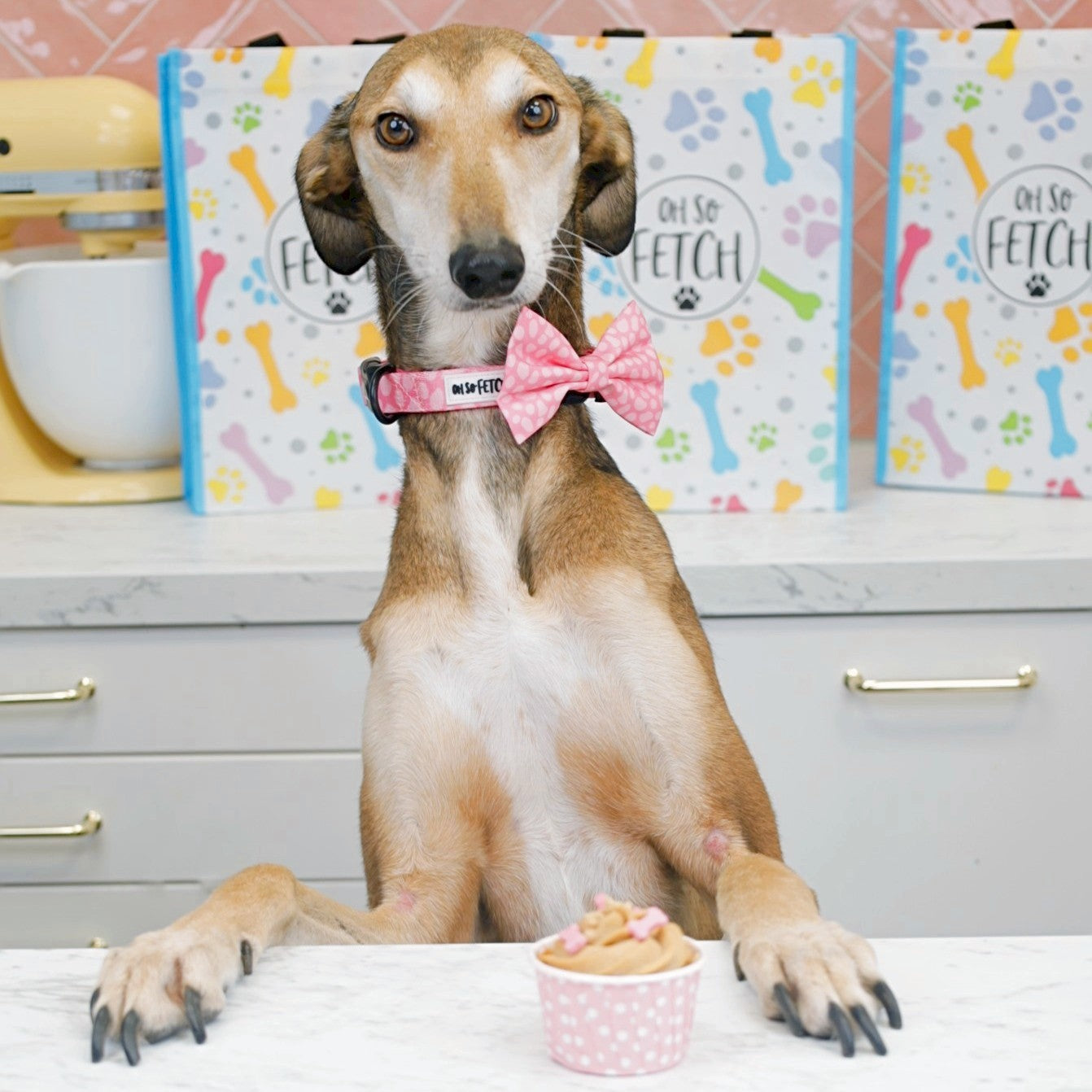 Oh So Fetch - Bow Tie - Pretty Wild