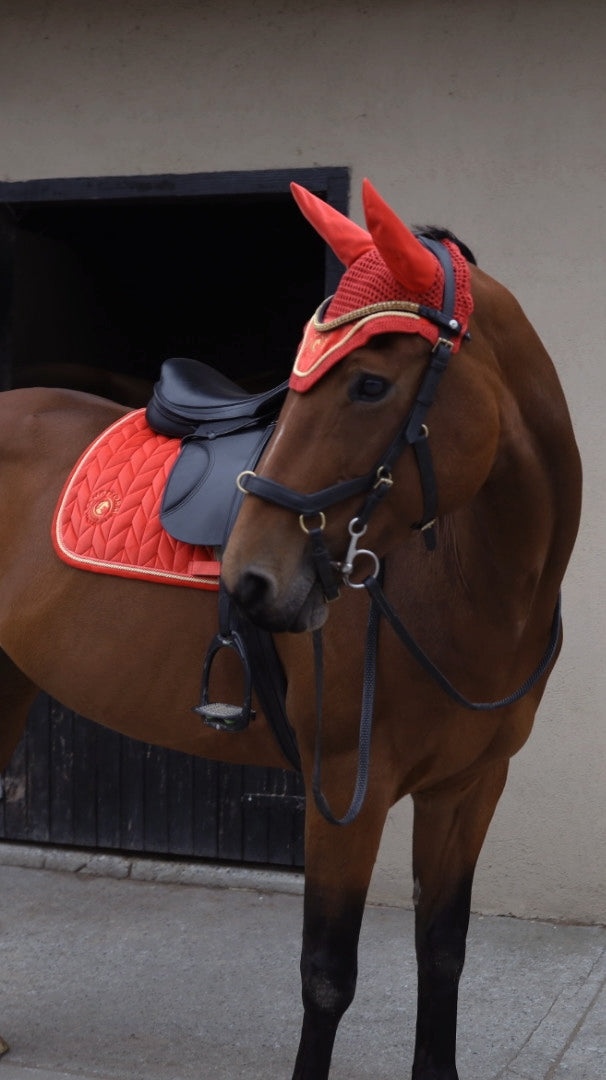 Sandstorm Equestrian - Ear Veil - Pumpkin Spice- *Limited Edition*