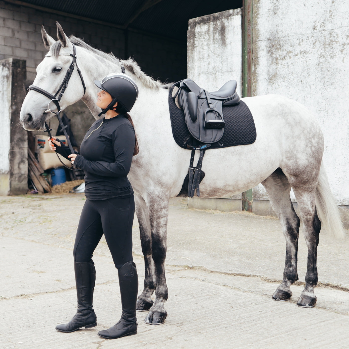 Sandstorm Equestrian - Everyday Comfort Riding Leggings - Black
