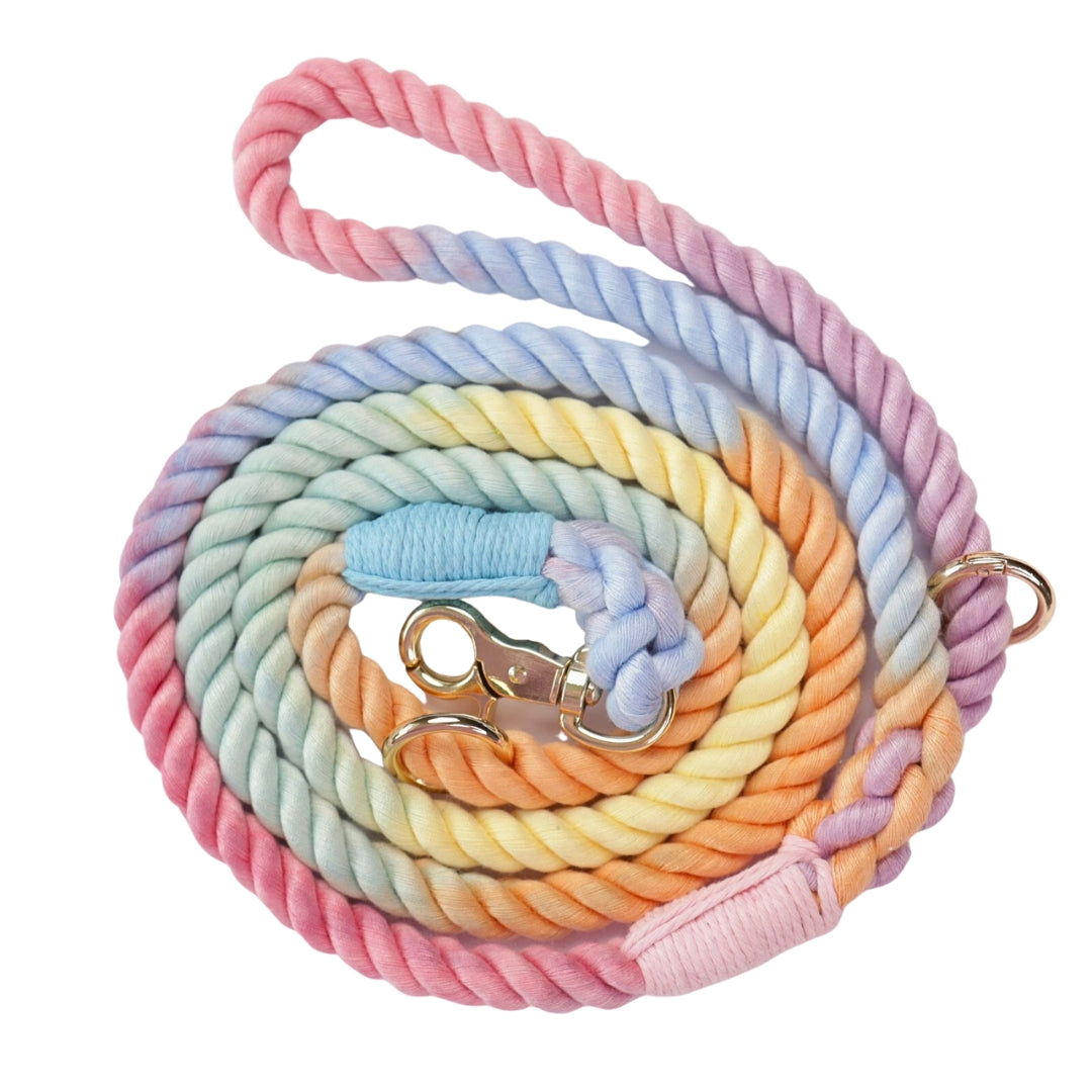 Oh So Fetch - Rope Lead Pastel