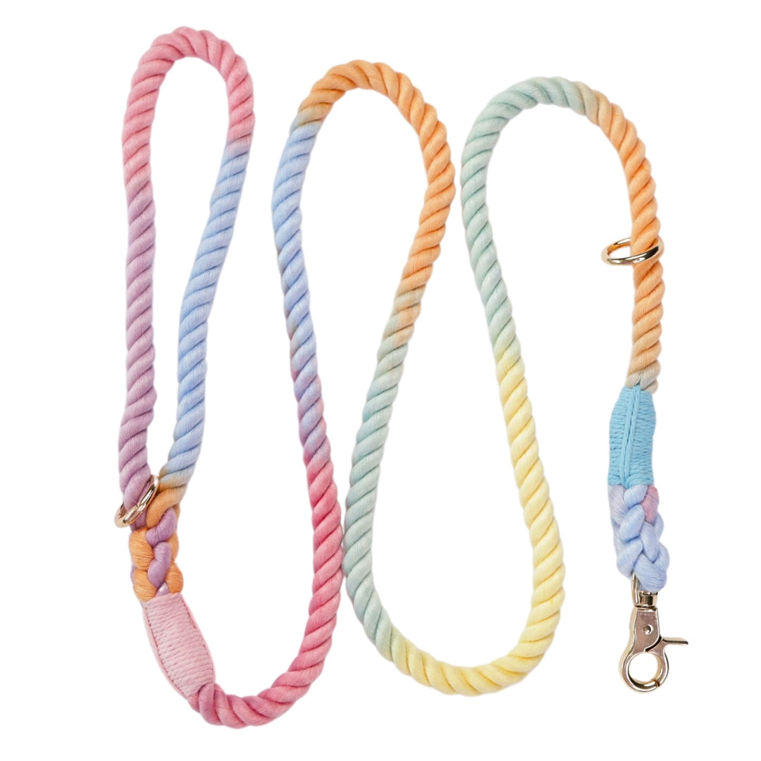 Oh So Fetch - Rope Lead Pastel
