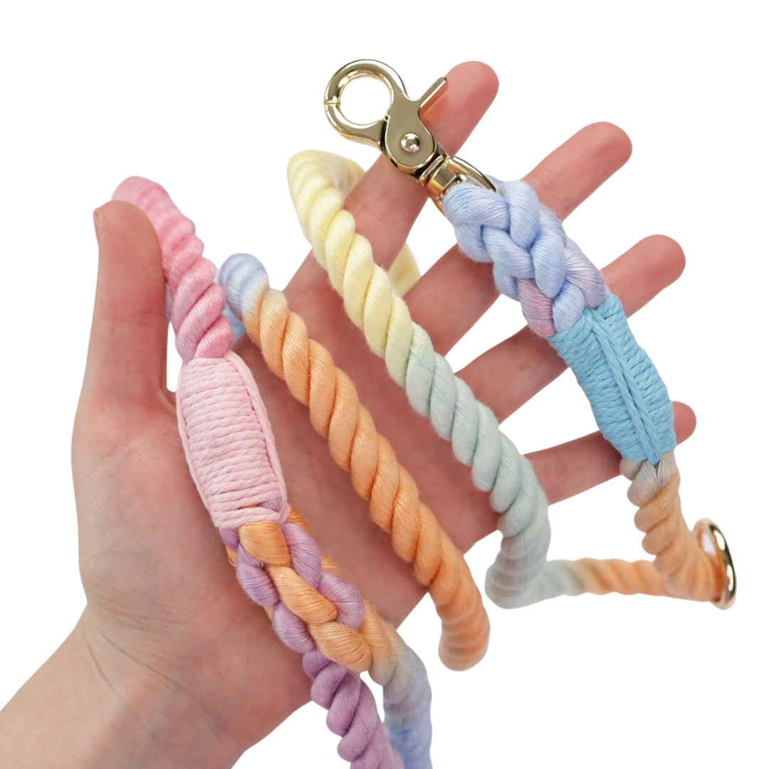 Oh So Fetch - Rope Lead Pastel