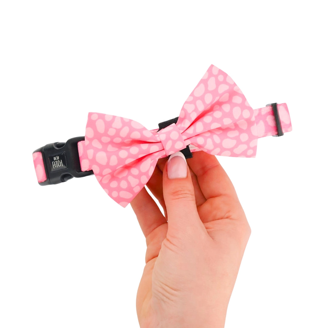 Oh So Fetch - Bow Tie - Pretty Wild