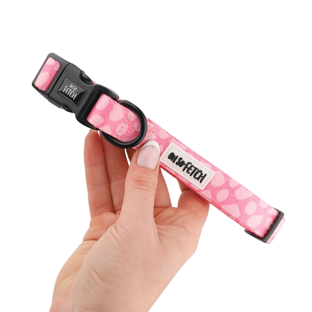 Oh So Fetch - Collar - Pretty Wild