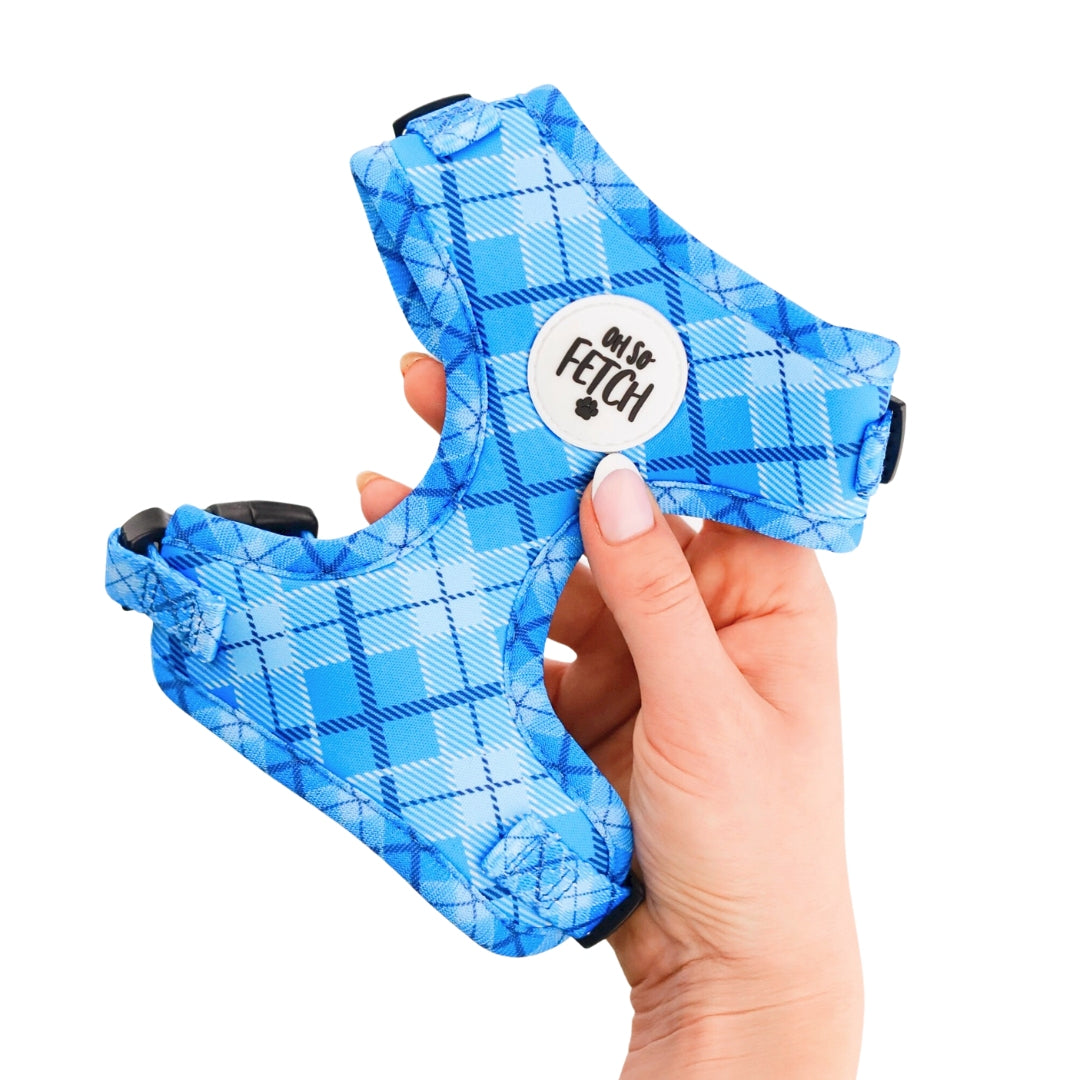 Oh So Fetch - Padded Harness - Country Pup