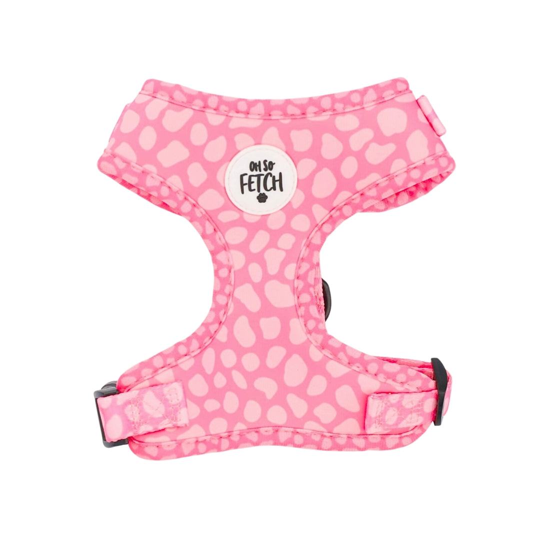 Oh So Fetch - Padded Harness - Pretty Wild