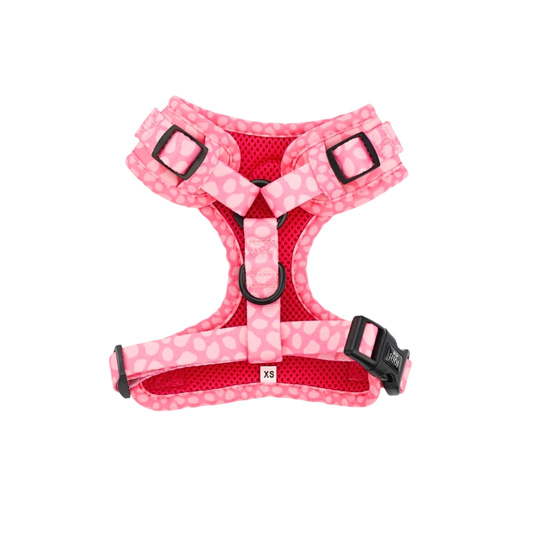 Oh So Fetch - Padded Harness - Pretty Wild