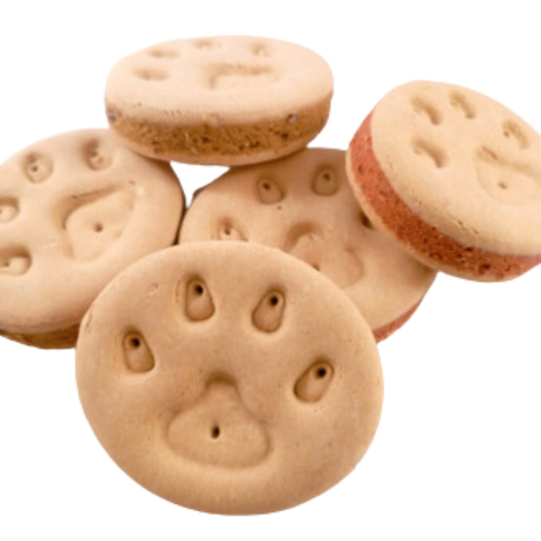 Oh So Fetch Treats - Paw Print Biscuits 110g