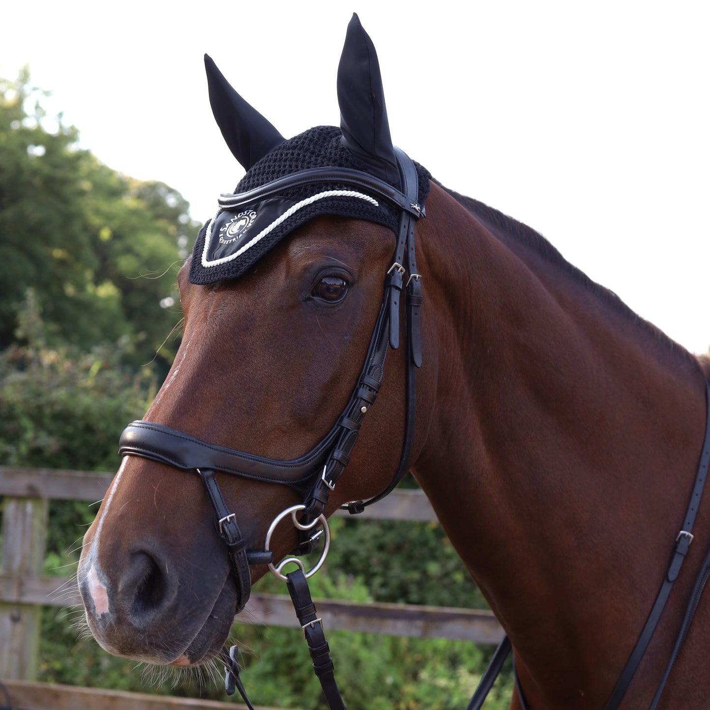 Sandstorm Equestrian - Satin Ear Veil - Black