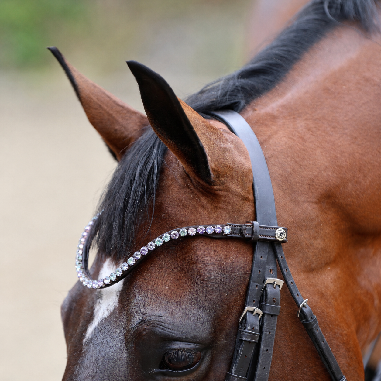 Sandstorm Equestrian -QuickSwitch BrowBand - Unicorn Diamante - Single Row