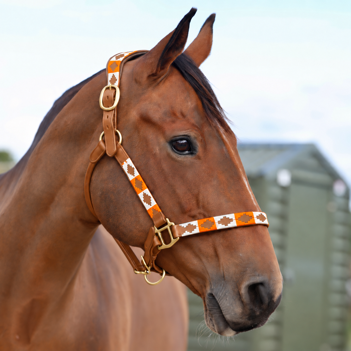 Sandstorm Tanned Leather Polo Head Collar - Blue, Orange & White