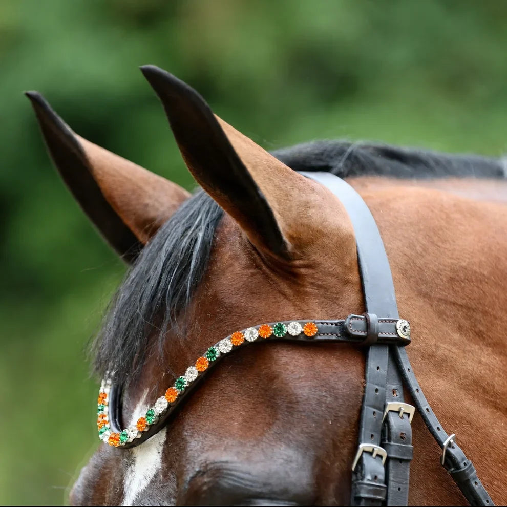 BrowBands