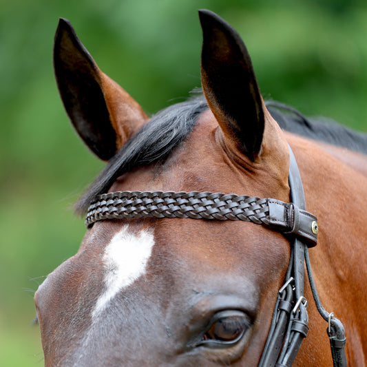 Sandstorm Equestrian - QuickSwitch Bro Band - Braided