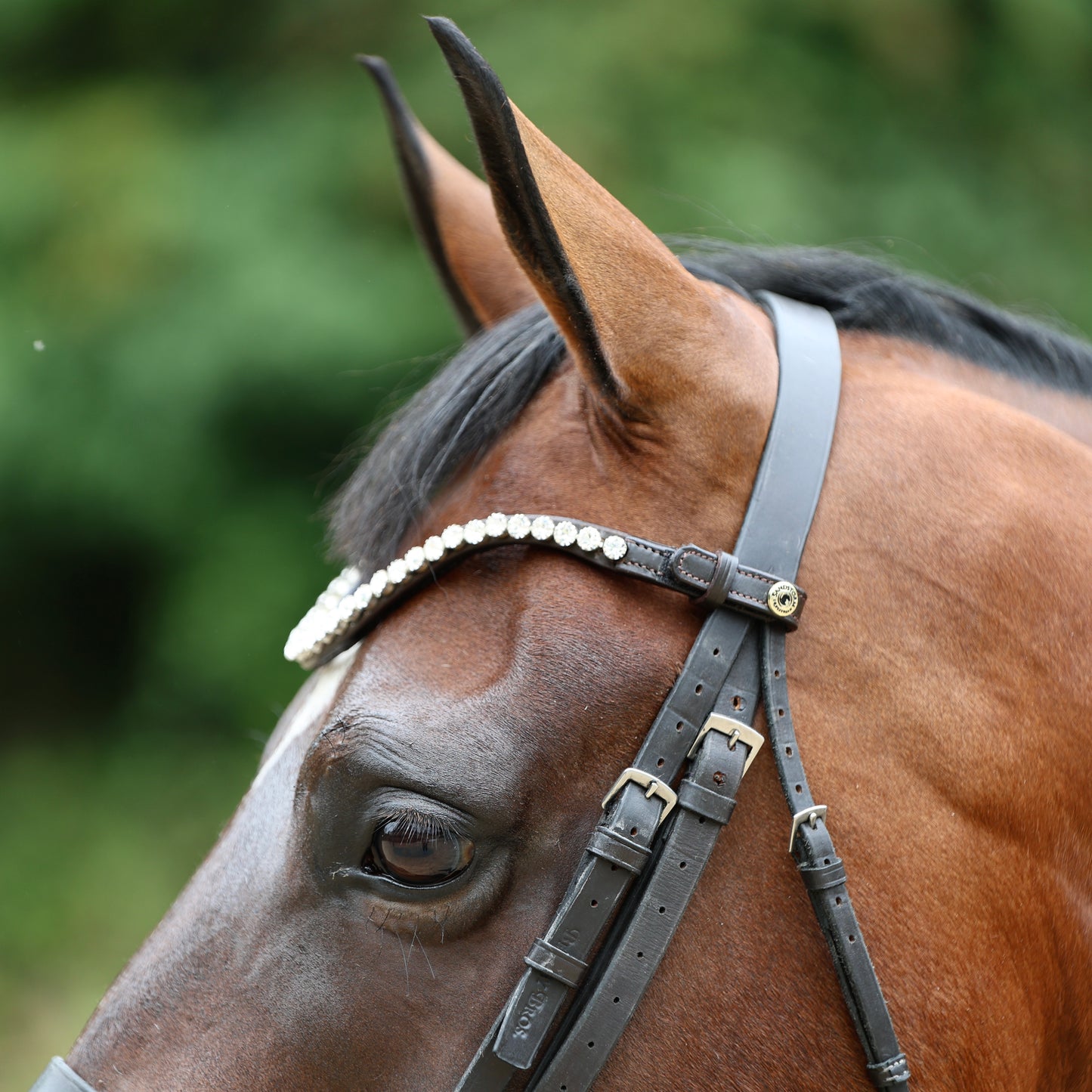 Sandstorm Equestrian - QuickSwitch Bro Band - Silver Diamante - Single Row