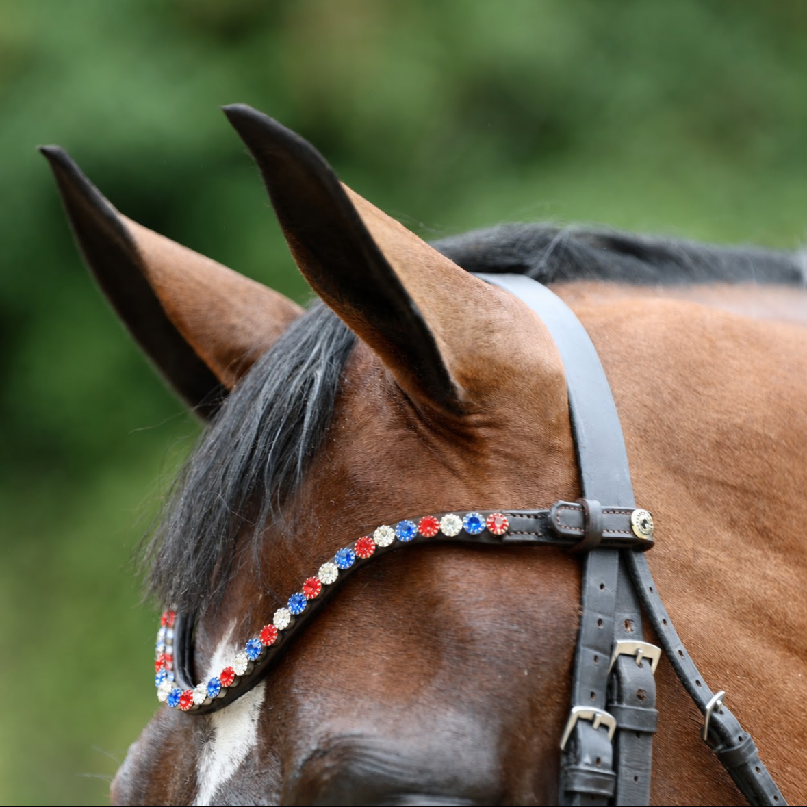Sandstorm Equestrian - QuickSwitch BrowBand -  Team GB Diamante - Single row