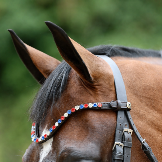 Sandstorm Equestrian - QuickSwitch BrowBand -  Team GB Diamante - Single row