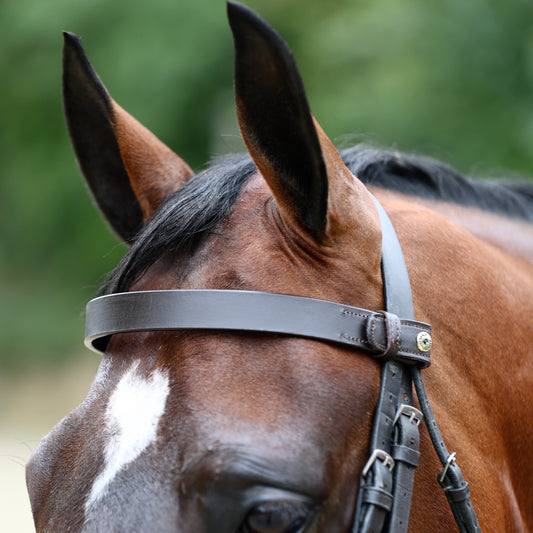 Sandstorm Equestrian - QuickSwitch Brow Band -  Plain Leather