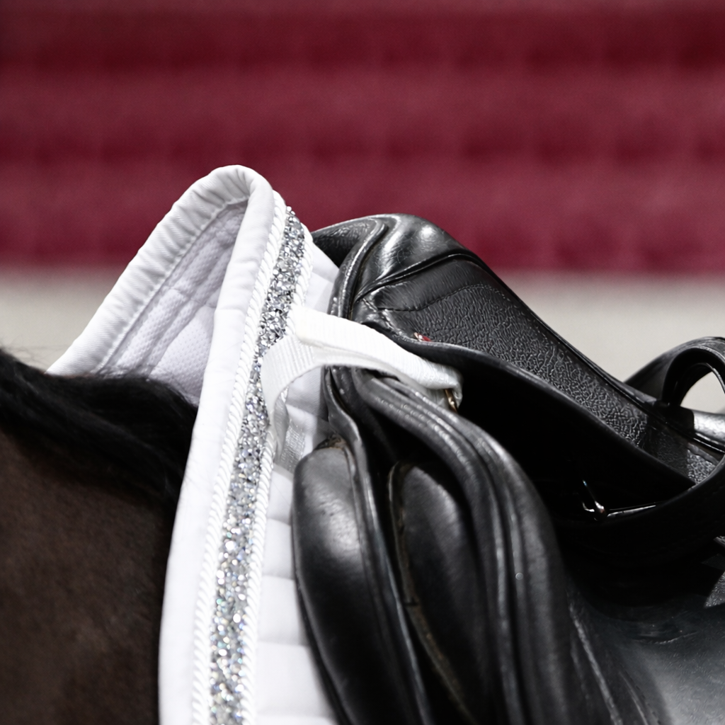 Sandstorm Equestrian - Saddle Pad -  White Sparkle