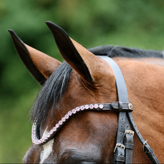 Sandstorm Equestrian - QuickSwitch BrowBand -  Lilac Diamante - Single row
