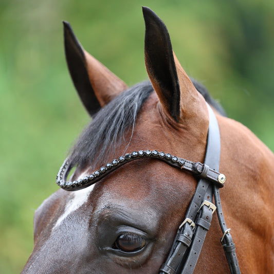 Sandstorm Equestrian -QuickSwitch BrowBand - Black Diamante - Single Row