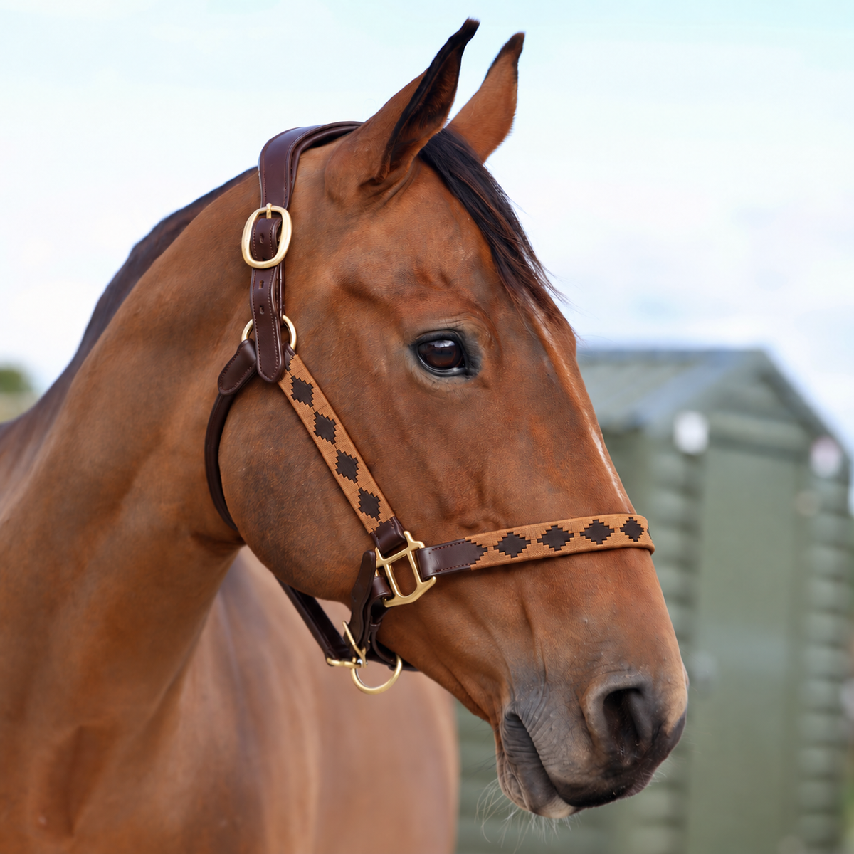 Sandstorm Brown Leather Polo Head Collar - Brown