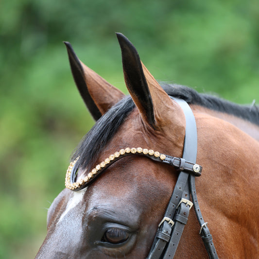 Sandstorm Equestrian - QuickSwitch BrowBand -  Gold Diamante - Single Row