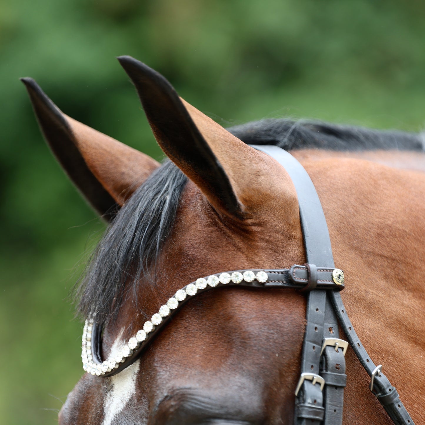 Sandstorm Equestrian - QuickSwitch Bro Band - Silver Diamante - Single Row