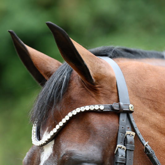 Sandstorm Equestrian - QuickSwitch Bro Band - Silver Diamante - Single Row