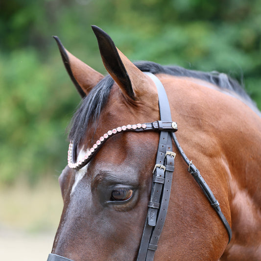 Sandstorm Equestrian - QuickSwitch Brow Band -  Pink Diamante - Single Row