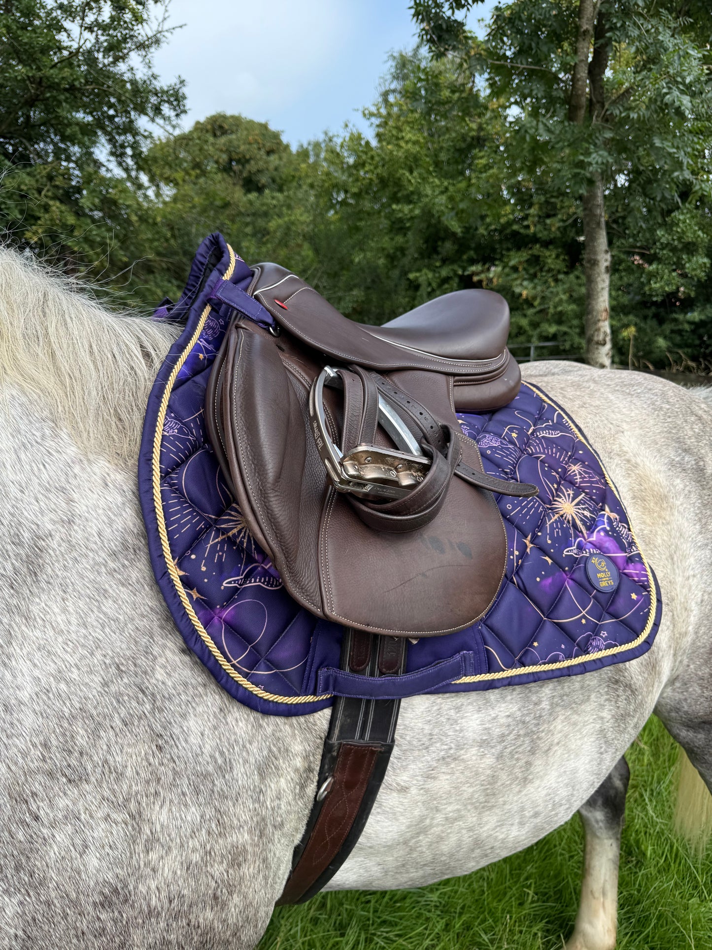 Sandstorm Equestrian X Molly & the Greys - Saddle Pad -  Cosmic Print
