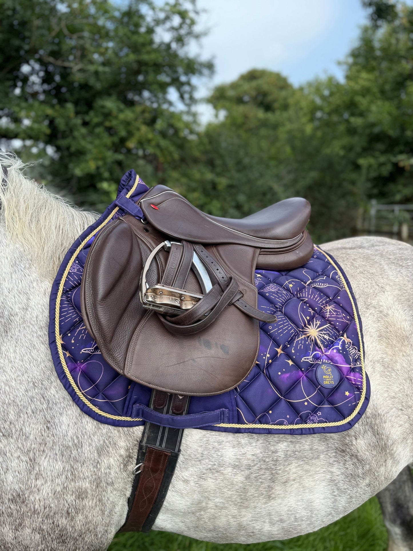 Sandstorm Equestrian X Molly & the Greys - Saddle Pad -  Cosmic Print