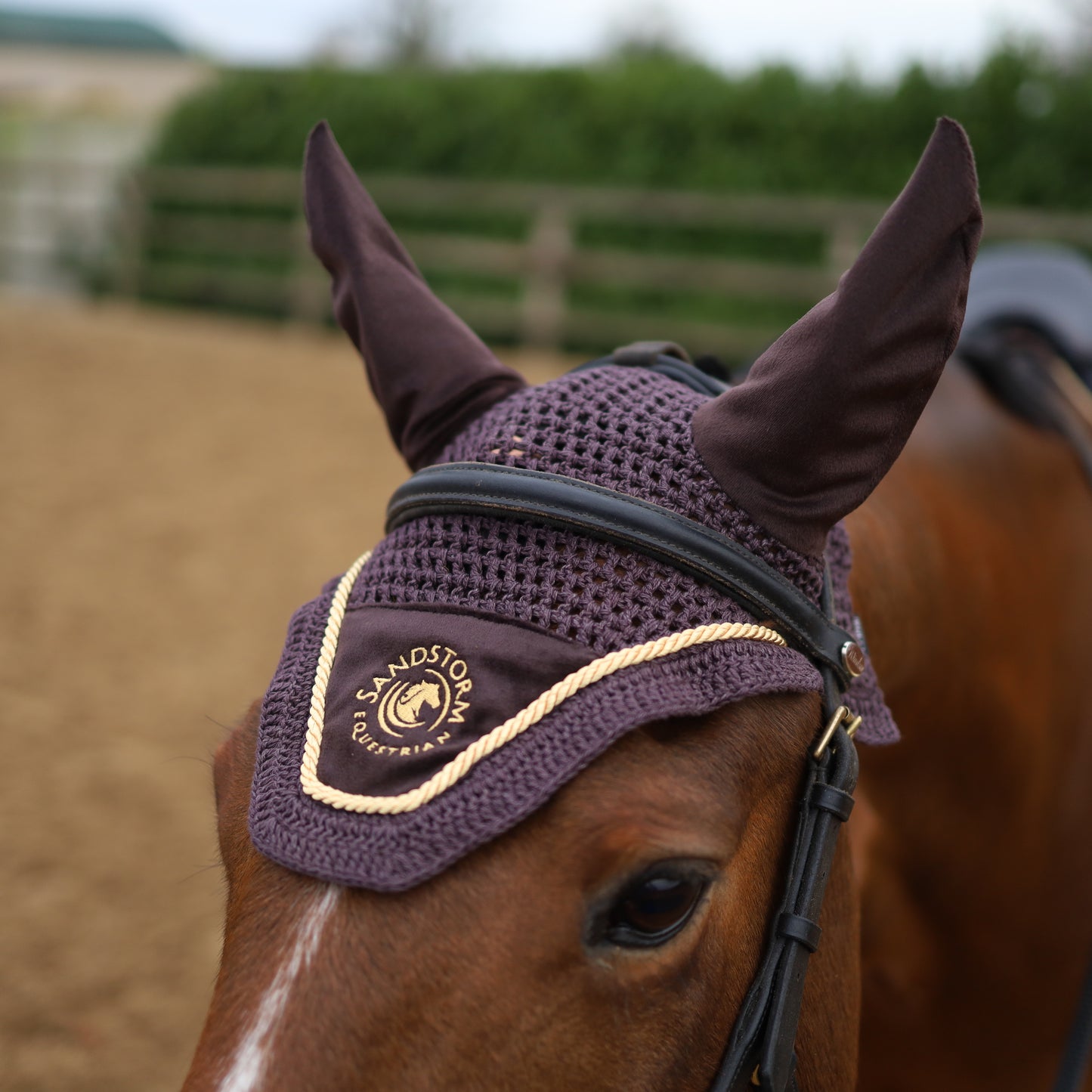 Sandstorm Equestrian - Velvet Ear Veil - Dark Chocolate