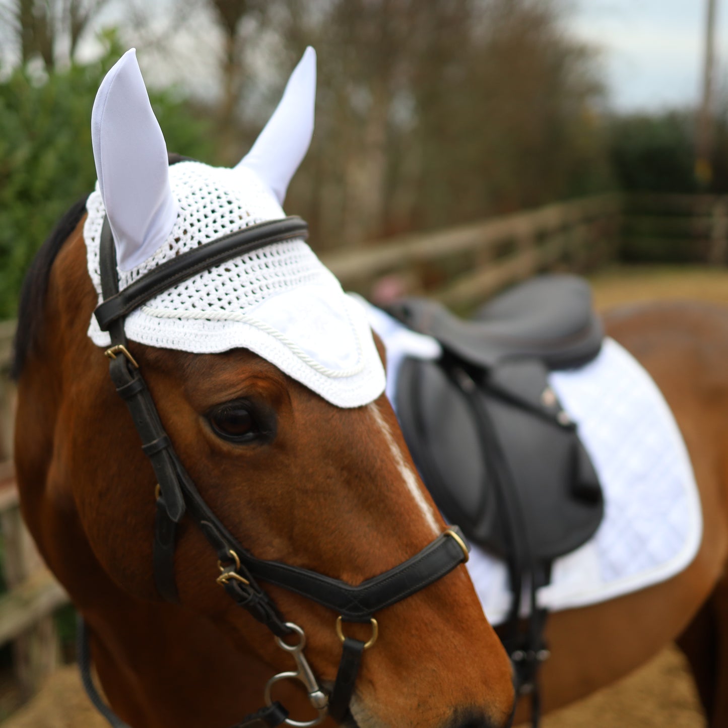 Sandstorm Equestrian - Satin Ear Veil - White