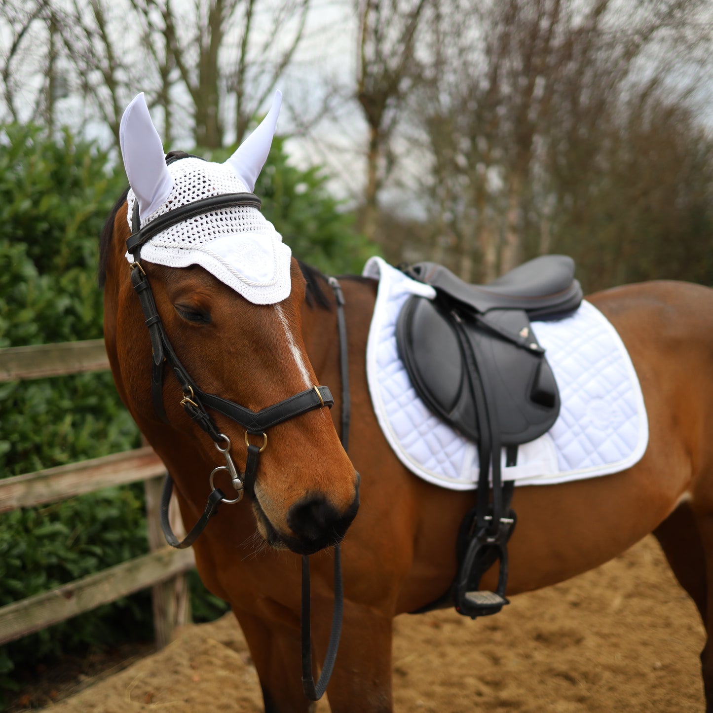 Sandstorm Equestrian - Satin Saddle Pad - White