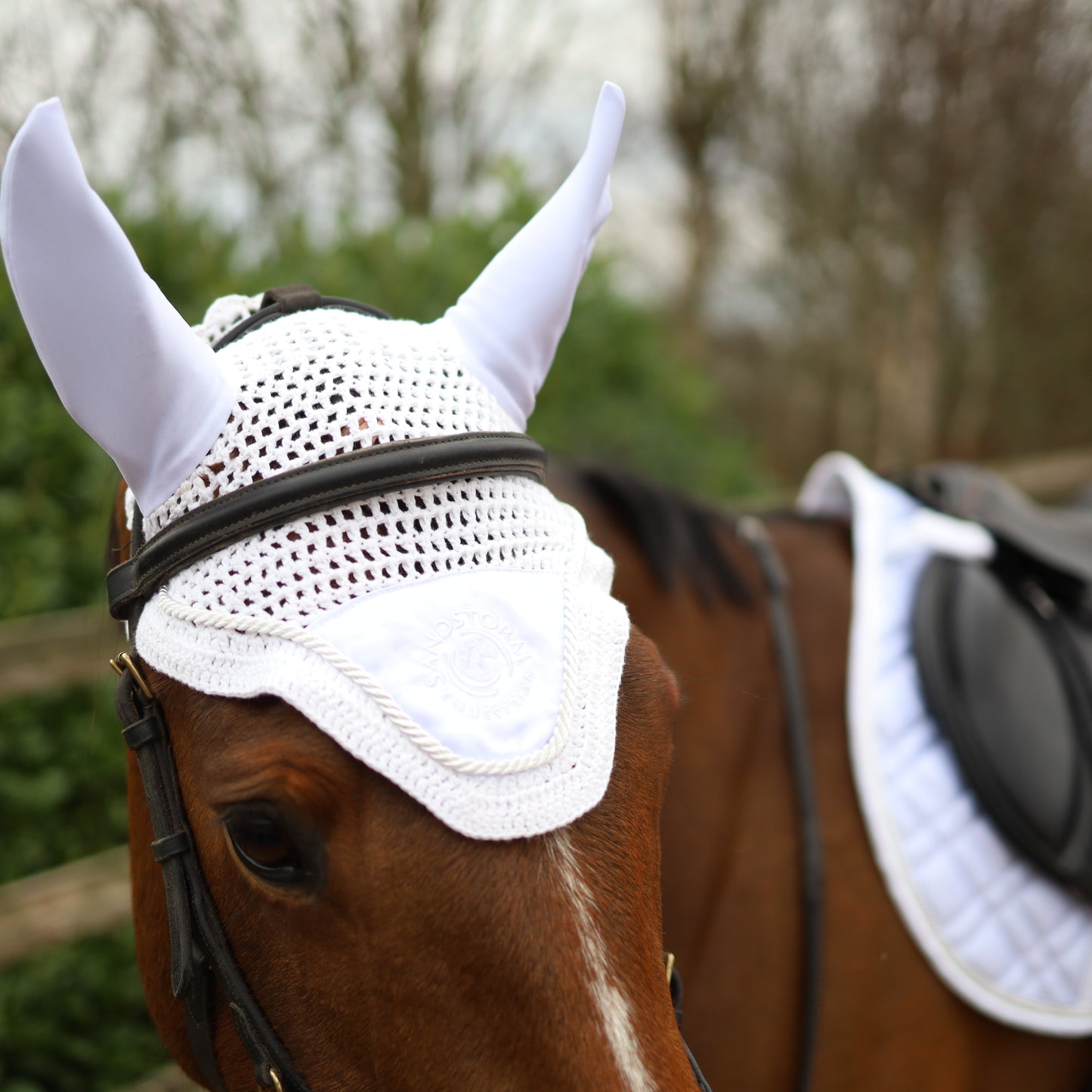 Sandstorm Equestrian - Satin Ear Veil - White