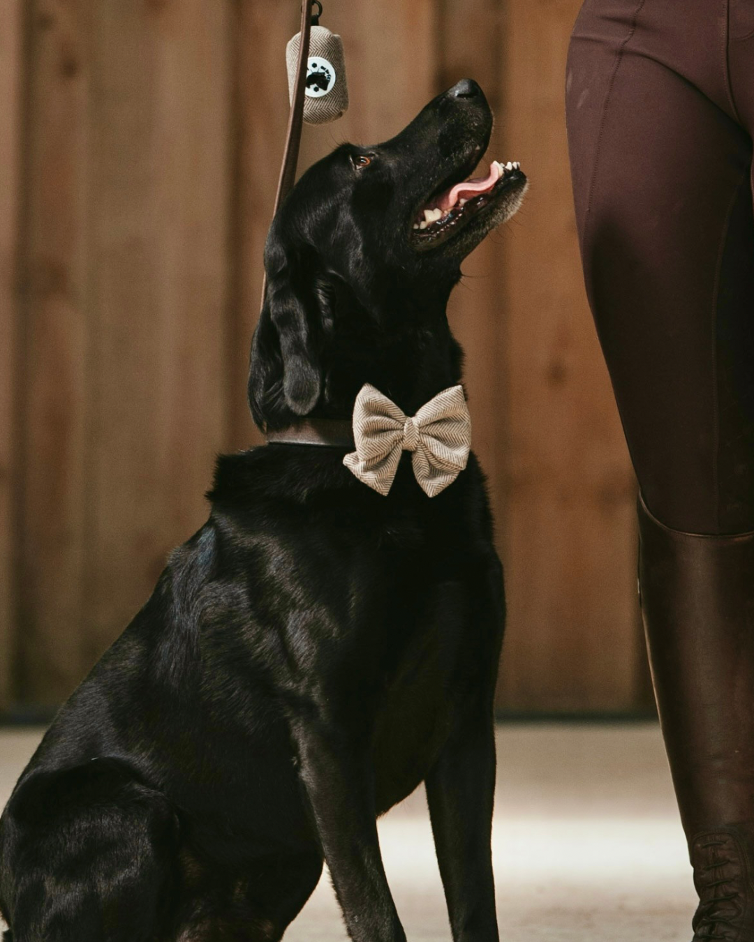 Oh So Fetch - Sailor Bow Tie - Tweed
