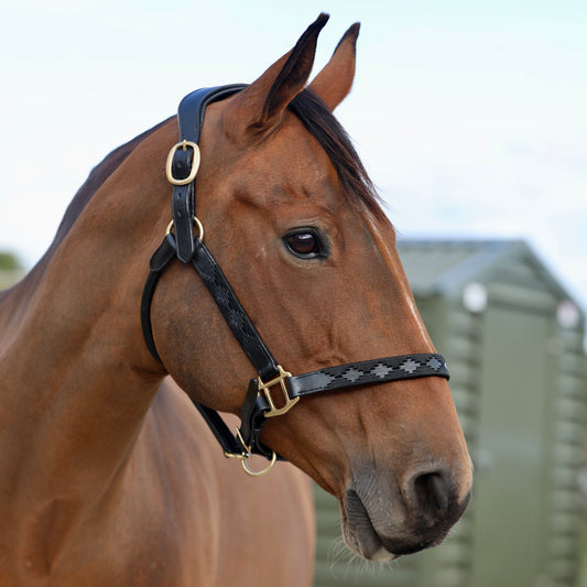 Sandstorm Leather Polo Head Collar - Black